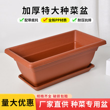 �N�����̨���üӺ�����ͥ�̨�N�����߲��L���ηNֲ��������