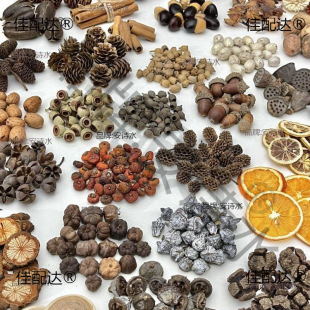 ľƬ��������̫��ֲ��˱��ɹ�diy�ɻ����ϰ�����ֹ���������