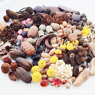 ��Ȼ�ɹ������v�����b�����}�Q���ֹ��h��DIY��޹ֲ��˱�