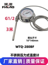 派澳仪表WTQ280不锈钢304 压力式温度计锅炉印染水油远传人气