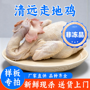 ���Ӱ匣�ġ����h�u��ֻ������S�u�����u���u�חl���b���r�u����