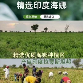 烫染工具;其他染料;其他美发产品
