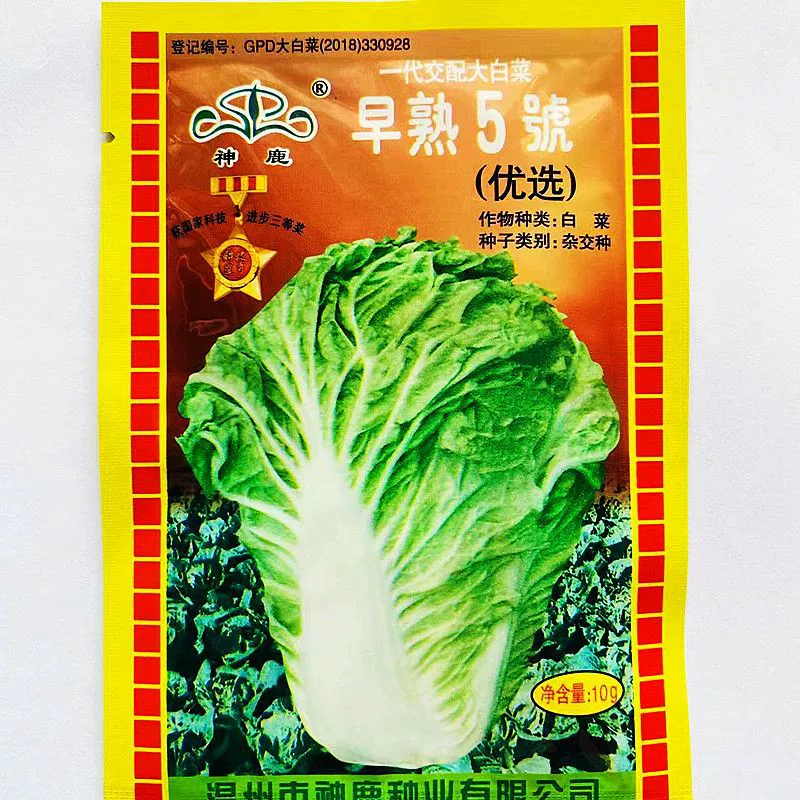 Shenlu Ранняя зрелая капуста № 5 Предпочтительная мелкая овощная капуста Термостойкая и влагостойкая Устойчивые к болезням семена китайской капусты