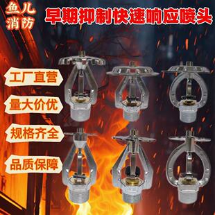 ESFR�������ƿ���푑������^K202K363K242�}���������ٷ��������^