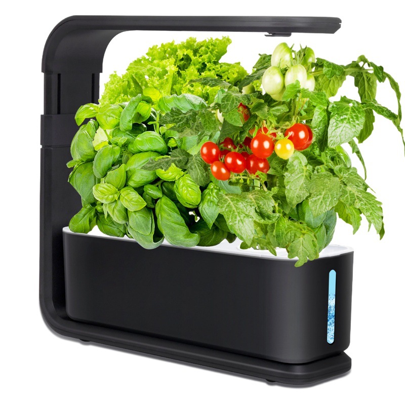 Amazon prefiere la caja de verduras perezosa, la máquina de plantación hidropónica inteligente, la luz de relleno para el hogar, la luz del sol, la lámpara de crecimiento de la planta