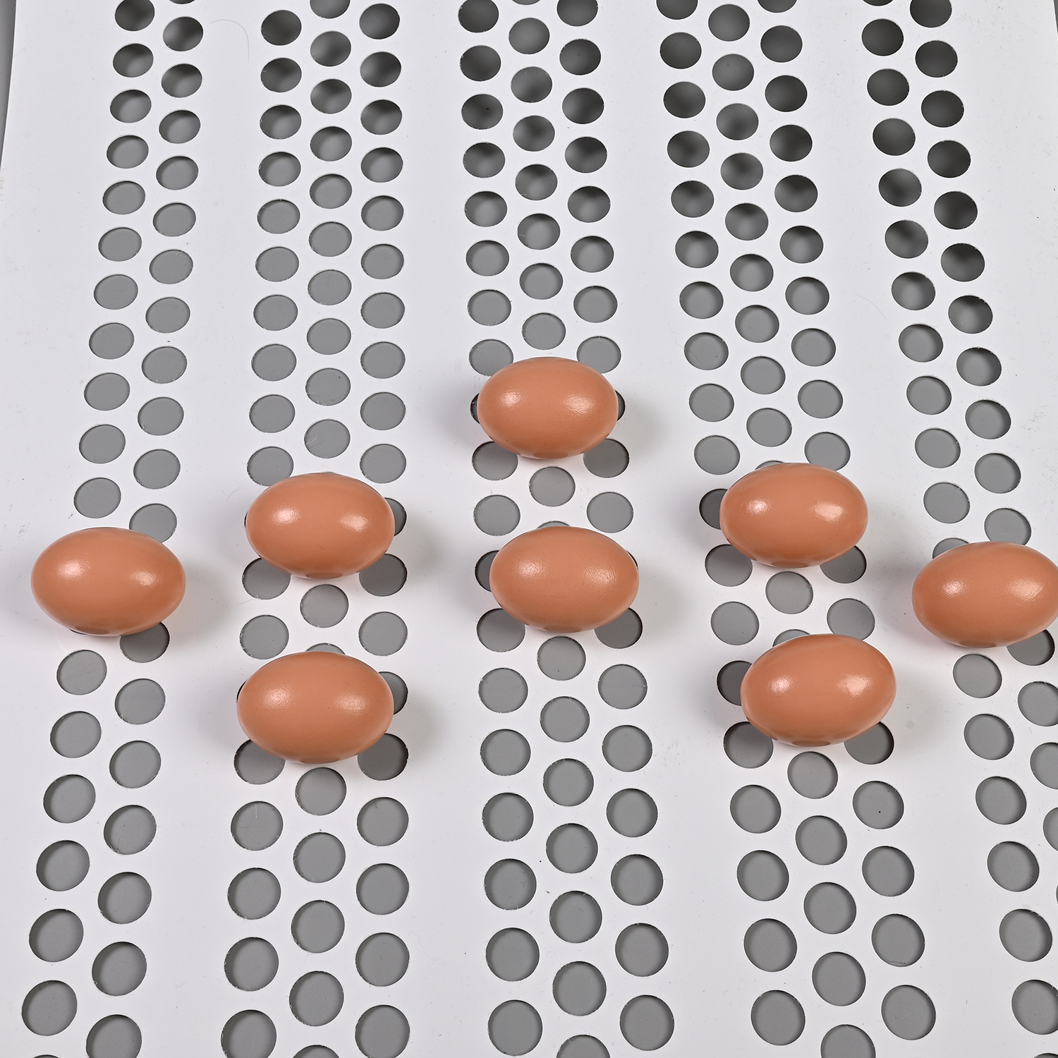 50cm宽种鸡平养养殖场自动产蛋箱用PP打孔鸡蛋输送带捡蛋带