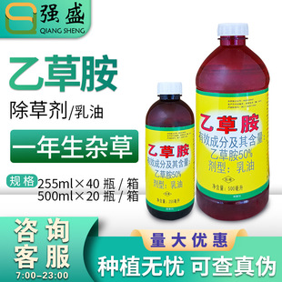 �I�r�Ҳݰ� 50%�Ҳݰ��������x����ѿǰ���݄���ţ��ݹ�β���rș