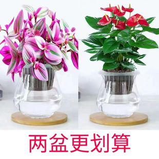 �ͮ���Y���mˮ��ֲ����������҃����[�k���Ҹߙn��ꎺ��B�͏d��