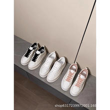 С���L2025�¿� �A�^ϵ���ɸ����������Ь���m�ٴ�С��ЬŮ