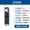 256 GB (M.2 SSD)