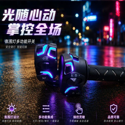 Suitable for Electric Motorcycle – Motorcycle Control System Parts