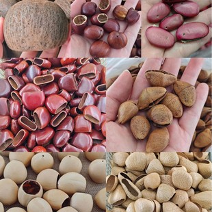 �����L⏓u� ˮ�ͩ �A���� �ڹ��� �P�˵� ��ޢ ������ DIY���