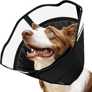 Amazon new dog cat shame ring pet supplies anti-licking anti-bite collar head cover sterilization collar soft