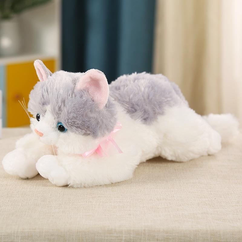猫の発情玩具公猫専用の下痢|undefined