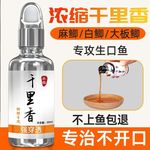 秋冬钓鱼千里香小药野钓鲤鱼鲫鱼专攻黑坑草鱼鱼料饵料添加剂