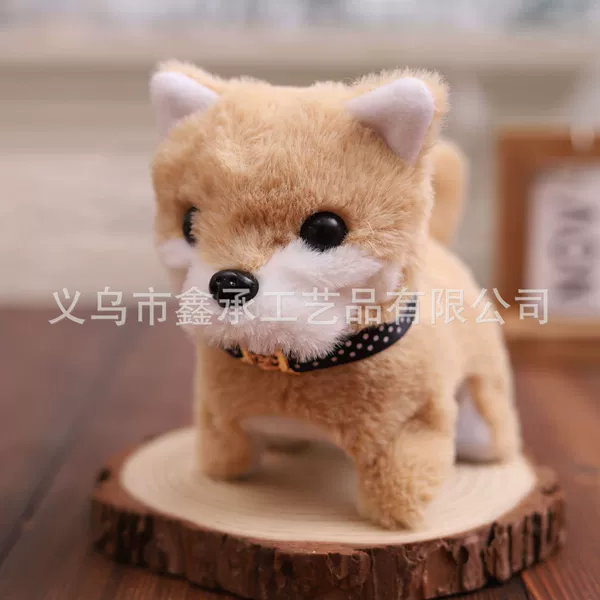 Small Shiba Inu light brown