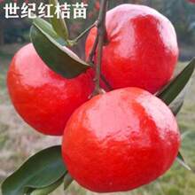 ���o�t���Ә��������ǽ����۽���������٘���ɰ���٘��箔��Y��