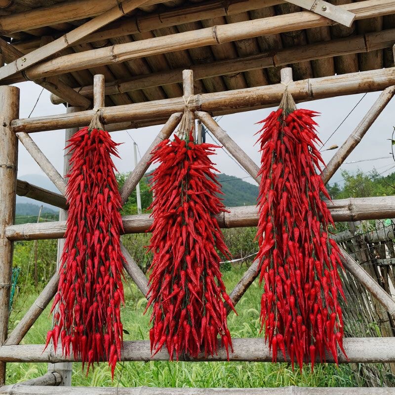 Simulation vegetable string dried chili wholesale farmhouse hotel decoration fake chili hanging string model shooting props