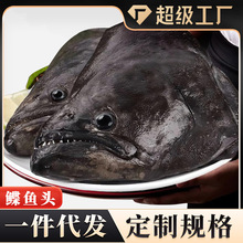 碟鱼头冷冻鲽鱼头超大鸦片鱼头深海比目鱼商用批发蝶鱼头一件代发