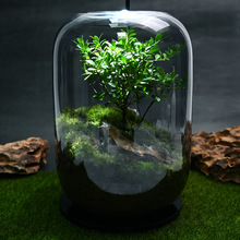 ֮䡿辰BkҾGֲ֮Ʒ΢^Bƿ