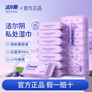 Jieer Mini Private Parts Care Wet Wipes Independent Refreshing Cleaning Hygiene Wet Wipes Portable Post-Wash-Free Women