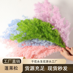 �������R�ɸɻ������������Ҿ��b��r���ֹ�����diy���ϻ�����Ʒ