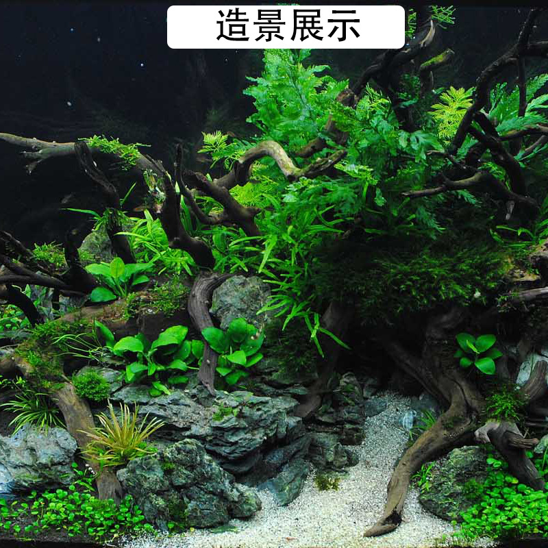 详情图