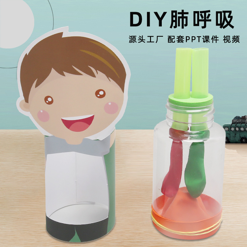 Lung Respiración cognición humana Escuela Primaria estudiante Ciencia y Tecnología pequeña producción niños hechos a mano diversión DIY Ciencia pequeños materiales experimentales