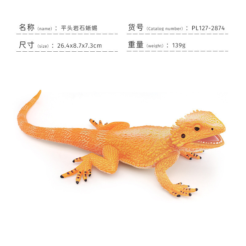 PL127-2874 Lagarto de roca de cabeza plana 139g