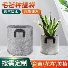 ë�ַNֲ�����ݻ��ܘ�����ֲ������o�������ַNֲ�AͰ���L��