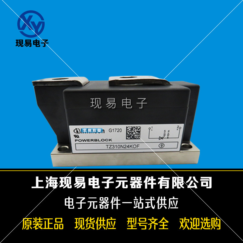 TZ310N24KOF TZ310N22KOF TZ310N20KOF功率可控硅模块.现货直销