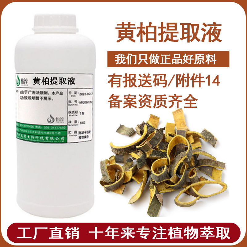 工厂批发 黄柏提取液 萃取液 黄柏提取物 化妆品植物护肤原料1KG
