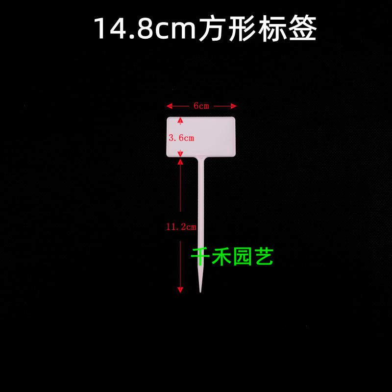 Pink 14.8cm square label