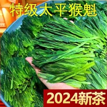 【太平猴魁】2024年级头采新茶兰花香型布尖绿茶浓香型茶叶