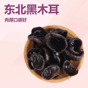 ���l���x�����L��ɽ�|����ľ����؛���ˬ�ڛ����偳���ʳ��