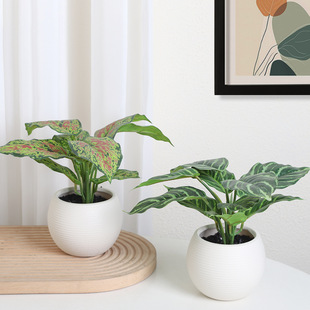 �������^�~�Gֲ���Լ�ֲ���҃Ȕ[���͏d�b�Ʒ������h��ֲ���辰