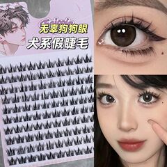霏汐犬系睫毛濃密漫畫假睫毛懶人三部曲女自然日常單簇分段式嫁接