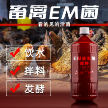 兽用畜禽养殖专用益生菌EM原种菌种猪鸡牛羊蜜蜂用饲料发酵添加剂