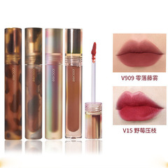 Joocyee酵色唇釉水波琥珀貝殼復古口紅水墨唇泥鏡面奶咖水光JC女