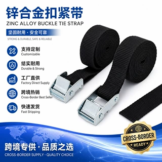 定制卡板绑带2CM*40CM压扣物流卡板绑带 拉紧器托盘带 压扣捆绑带