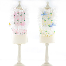 �����·�23�����¿�����ǹ�����С�����·�������b�ɐ������