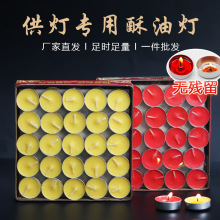 酥油灯4小时100粒家用供佛酥油蜡烛长明灯无烟无味植物蜡烛酥油灯