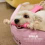 磨牙跨境棉绳宠物玩具