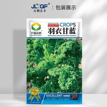 ]¸{Nʳð~{NѴﶬ̨߲˷Nݴȫ