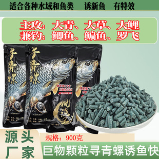 �����w�������������ݴ���C���D�ό������w����C�ڿ�Ұឌ���