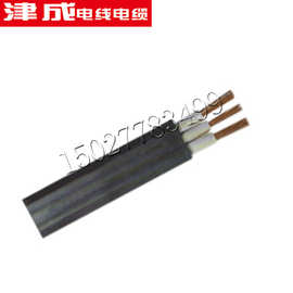 天津津成控制电缆 ZR-RVVP 2芯 现货供应阻燃屏蔽网无氧铜电缆