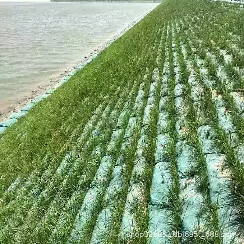 Bolsa de vegetación de malla verde semilla de hierba protección de pendiente carretera río bolsa ecológica protección de pendiente fábrica de bolsa de vegetación