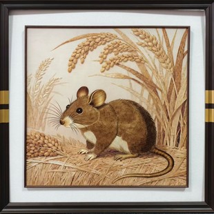 �ֹ��JȔ�� ��Ф�i��Ұ���w������ ��ʽ�����b� �Ƶ�ܛ�b؛Դ