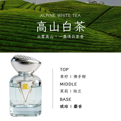 2026 New Car Air Freshener Car Perfume Car Accessories Fragrance Car Interior Perfume Odor Eliminator Decoration (Car Perfume Aromatherapy) - silver-knight-alpine-white-tea-160ml