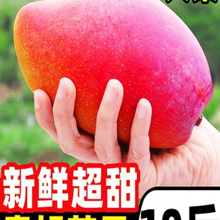 �����F��ââ��10�������rˮ����������������������̨â����